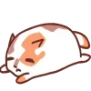 😴 Эмодзи «Catmotions» для Telegram
