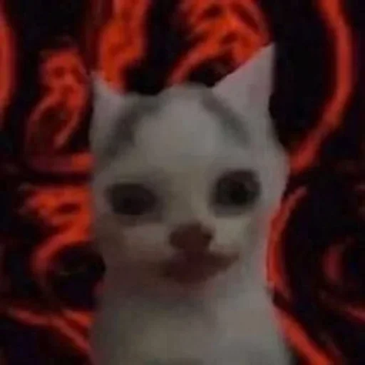 🐈‍⬛️ Стикер «котики для котят» для Telegram