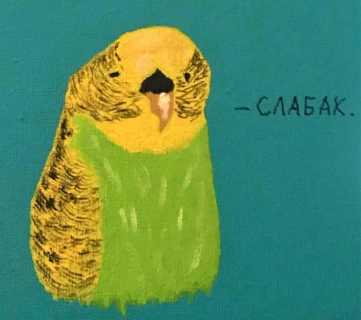 🐦 Стикер «Cat VS Dog» для Telegram
