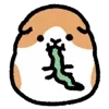 🍽 Эмодзи «Cute cavy - морская свинка» для Telegram