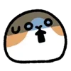 😱 Эмодзи «Cute cavy - морская свинка» для Telegram