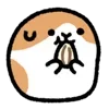 🍽 Эмодзи «Cute cavy - морская свинка» для Telegram