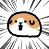 🤩 Эмодзи «Cute cavy - морская свинка» для Telegram
