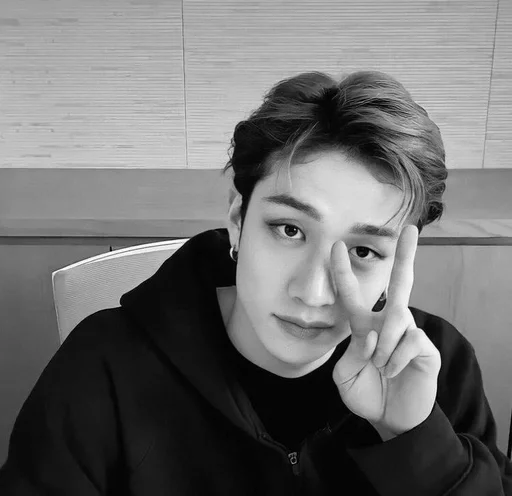 🐺 Стикер «чб bang chan» для Telegram