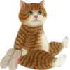 🐱 Эмодзи «Кошачья Жизнь» для Telegram