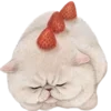🐱 Эмодзи «Кошачья Жизнь» для Telegram