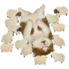 🐱 Эмодзи «Кошачья Жизнь» для Telegram