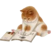 🐱 Эмодзи «Кошачья Жизнь» для Telegram
