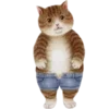 🐱 Эмодзи «Кошачья Жизнь» для Telegram