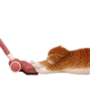 🐱 Эмодзи «Кошачья Жизнь» для Telegram