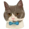 🐱 Эмодзи «Кошачья Жизнь» для Telegram