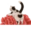 🐱 Эмодзи «Кошачья Жизнь» для Telegram