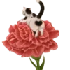 🐱 Эмодзи «Кошачья Жизнь» для Telegram