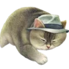 🐱 Эмодзи «Кошачья Жизнь» для Telegram