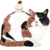 🐱 Эмодзи «Кошачья Жизнь» для Telegram