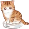😌 Эмодзи «Cute Cat» для Telegram