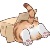 Эмодзи Cute Cat для Telegram — скачать