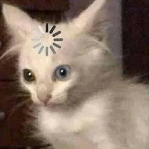 😟 Стикер «лучший пак» для Telegram