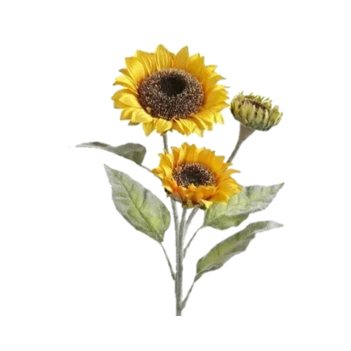🌻 Стикер «уютная кофейня» для Telegram