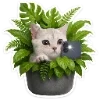 🐈 Эмодзи «Котятки» для Telegram