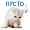 🐈 Эмодзи «Котятки» для Telegram