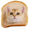 🐈 Эмодзи «Котятки» для Telegram