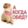 🐈 Эмодзи «Котятки» для Telegram