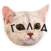 🐈 Эмодзи «Котятки» для Telegram