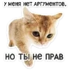 🐈 Эмодзи «Котятки» для Telegram