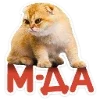🐈 Эмодзи «Котятки» для Telegram
