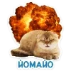 🐈 Эмодзи «Котятки» для Telegram