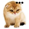 🐈 Эмодзи «Котятки» для Telegram