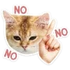 🐈 Эмодзи «Котятки» для Telegram