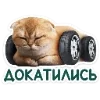 🐈 Эмодзи «Котятки» для Telegram