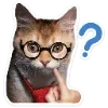 🐈 Эмодзи «Котятки» для Telegram