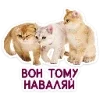 🐈 Эмодзи «Котятки» для Telegram