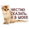 🐈 Эмодзи «Котятки» для Telegram