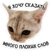 🐈 Эмодзи «Котятки» для Telegram