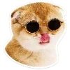 🐈 Эмодзи «Котятки» для Telegram