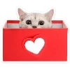 🐈 Эмодзи «Котятки» для Telegram