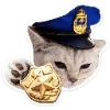 🐈 Эмодзи «Котятки» для Telegram
