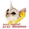 🐈 Эмодзи «Котятки» для Telegram