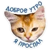 🐈 Эмодзи «Котятки» для Telegram