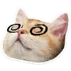 🐈 Эмодзи «Котятки» для Telegram