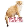 🐈 Эмодзи «Котятки» для Telegram