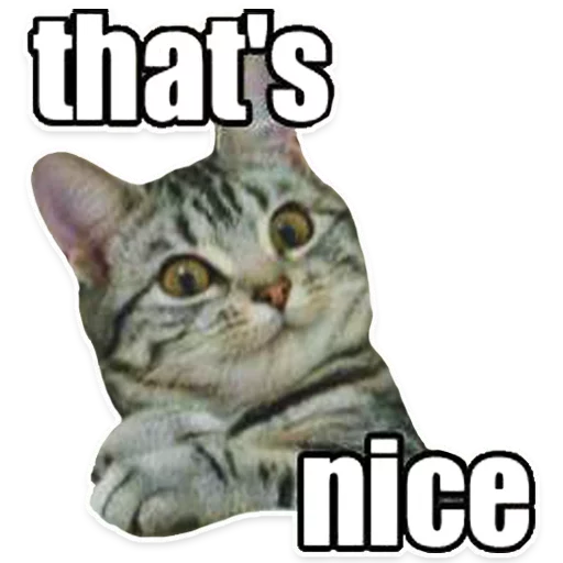 👍 Стикер «Caters Gonna Cate» для Telegram