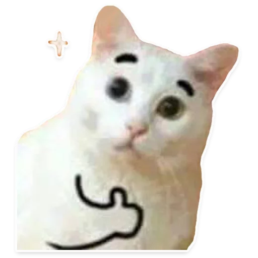 👍 Стикер «Caters Gonna Cate» для Telegram
