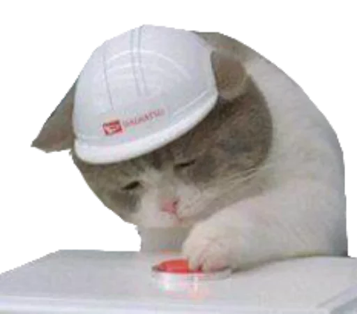 😿 Стикер «Caters Gonna Cate» для Telegram