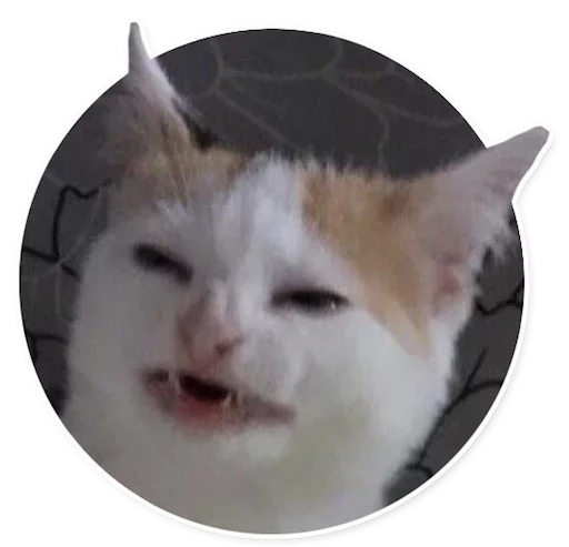 😸 Стикер «Caters Gonna Cate» для Telegram