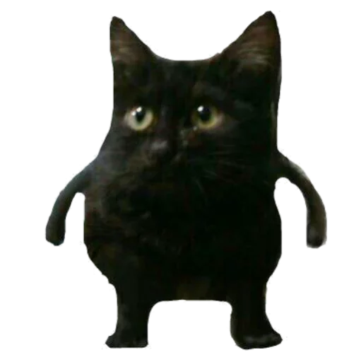 😐 Стикер «Caters Gonna Cate» для Telegram